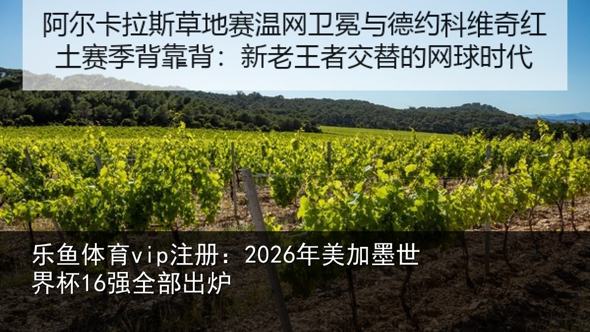 乐鱼体育vip注册:2026年美加墨世界杯16强全部出炉