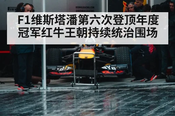 Red Bull racing team