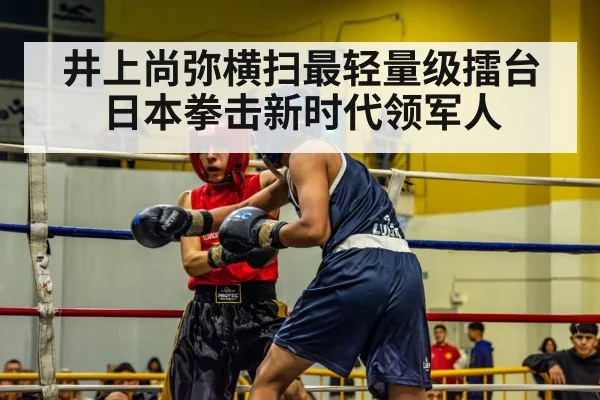井上尚弥横扫最轻量级擂台 日本拳击新时代领军人
